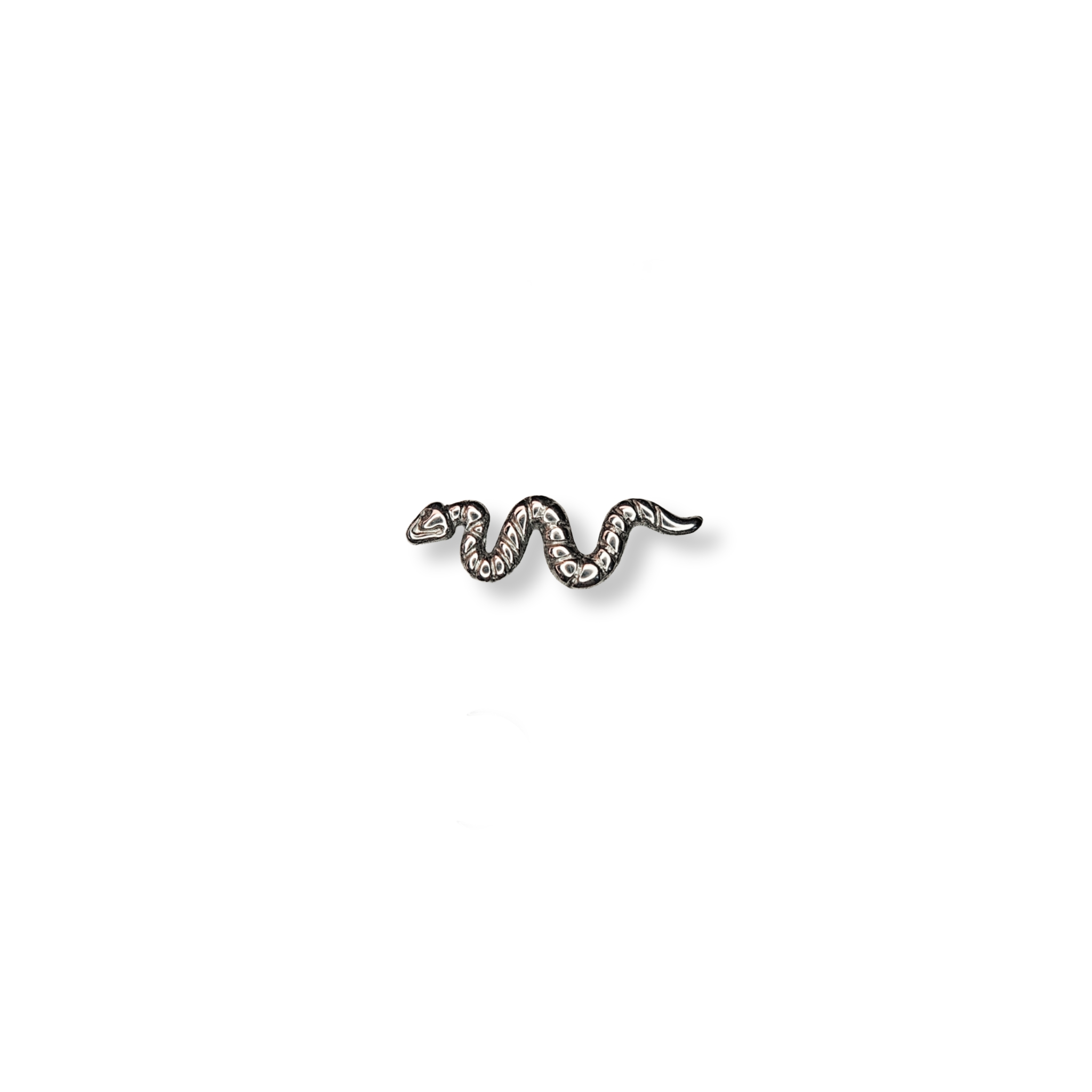 Serpente Pequena
